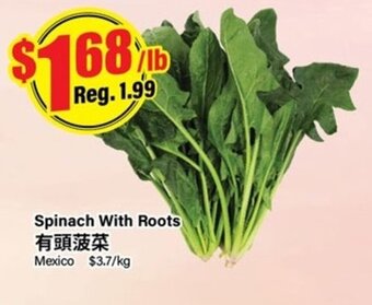 Btrust Supermarket Spinach With Roots offer