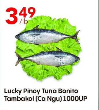 Lucky Supermarket Lucky Pinoy Tuna Bonito Tambakol (Ca Ngu) 1000UP offer