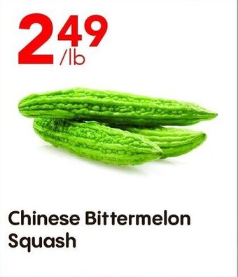 Chinese Bittermelon Squash