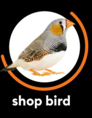Petsmart Shop bird offer