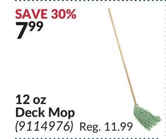 Princess Auto 12 oz deck mop offer