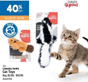 Ren’s Pets Depot All canada paws cat toys offer