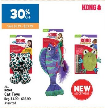 Ren’s Pets Depot Kong cat toys offer