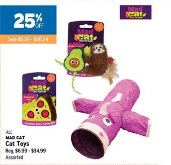 Ren’s Pets Depot All mad cat cat toys offer