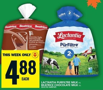 Food Basics LACTANTIA PURFILTRE MILK 4L BEATRICE CHOCOLATE MILK 3L offer