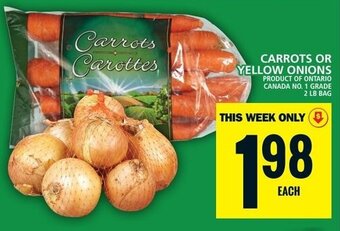 Food Basics CARROTS OR YELLOW ONIONS offer