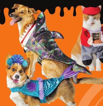 Costumes & apparel