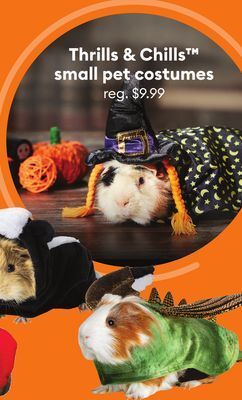 Petsmart Thrills & chills small pet costumes offer