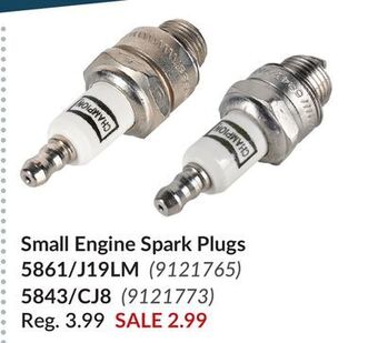 Princess Auto Small engine spark plugs offer