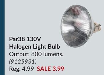 Princess Auto Par38 130v halogen light bulb offer