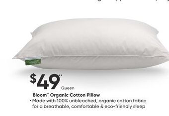 Sleep Country Bloom organic cotton pillow offer