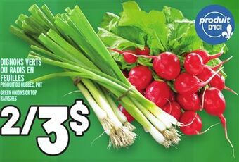Metro Oignons verts ou radis en feuilles | green onions or top radishes offer