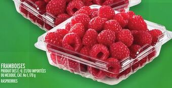 Metro Framboises | raspberries offer