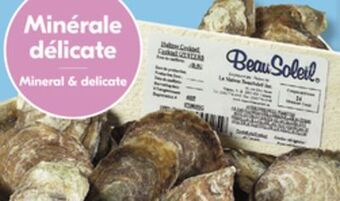 IGA Beausoleil oysters offer