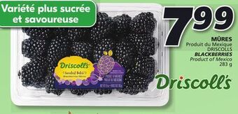 IGA Driscolls blackberries offer
