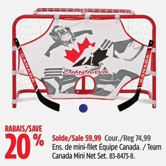 Canadian Tire Winnwell team canada mini net set offer