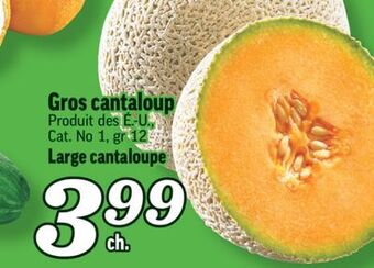 Marché Richelieu Gros cantaloup | large cantaloupe offer