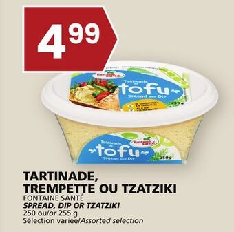 Rachelle-Bery Grocery Fontaine santé spread, dip or tzatziki offer