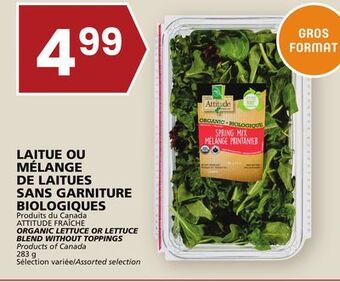 Rachelle-Bery Grocery Attitude organic lettuce or lettuce blend without toppings offer