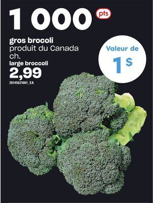 Provigo Gros brocoli offer