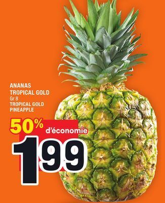Super C Ananas tropical gold | tropical gold pineapple offer