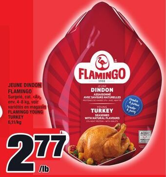Super C Jeune dindon flamingo | flamingo young turkey offer