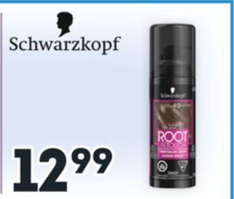 Brunet Schwarzkopf offer