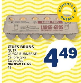 Marché Bonichoix Nutri or burnbrae large size brown eggs offer