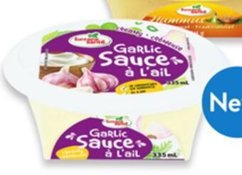 Walmart Fontaine santé dips offer