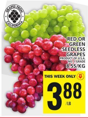 Food Basics Red or green seedless grapes offer
