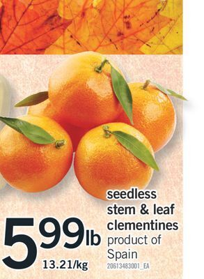 Fortinos Seedless stem & leaf clementines offer