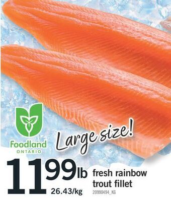 Fortinos Fresh rainbow trout fillet offer