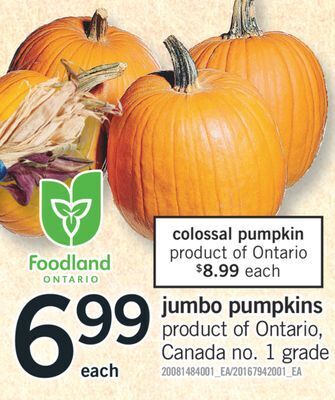 Fortinos Jumbo pumpkins offer