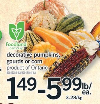Fortinos Decorative pumpkins, gourds or corn offer