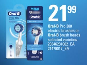 Loblaws Oral-b pro 300 electric brushes or oral-b brush heads offer
