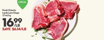 Longo's Fresh ontario lamb loin chops offer