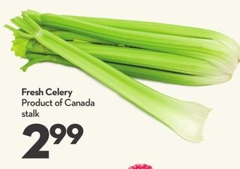 Longo's Fresh celery offer