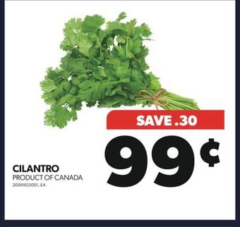 Real Canadian Superstore Cilantro offer