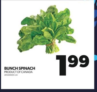 Real Canadian Superstore Bunch spinach offer