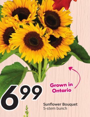 Sobeys Sunflower bouquet offer