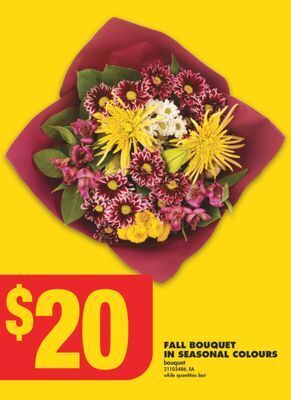 No Frills Fall bouquet in seasonal colours offer
