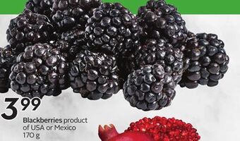 Sobeys Blackberries offer