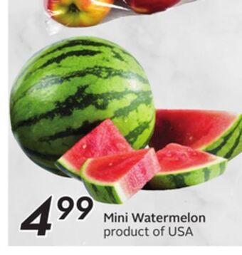 Sobeys Mini watermelon offer
