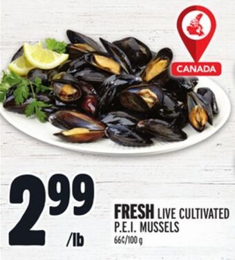 Metro Fresh live cultivated p.e.i. mussels offer