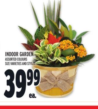 Metro Indoor garden offer
