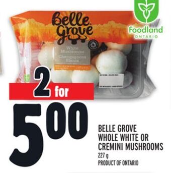Metro Belle grove whole white or cremini mushrooms offer