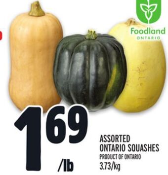 Metro Assorted ontario squashes offer