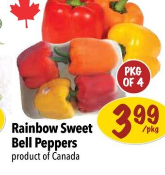 Farm Boy Rainbow sweet bell peppers offer