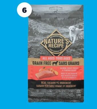 Real Canadian Superstore Nature's recipe grain free dry dog food offer