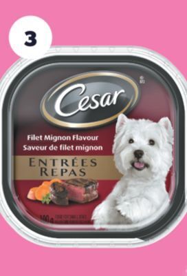 Real Canadian Superstore Cesar wet dog food, 100 g offer